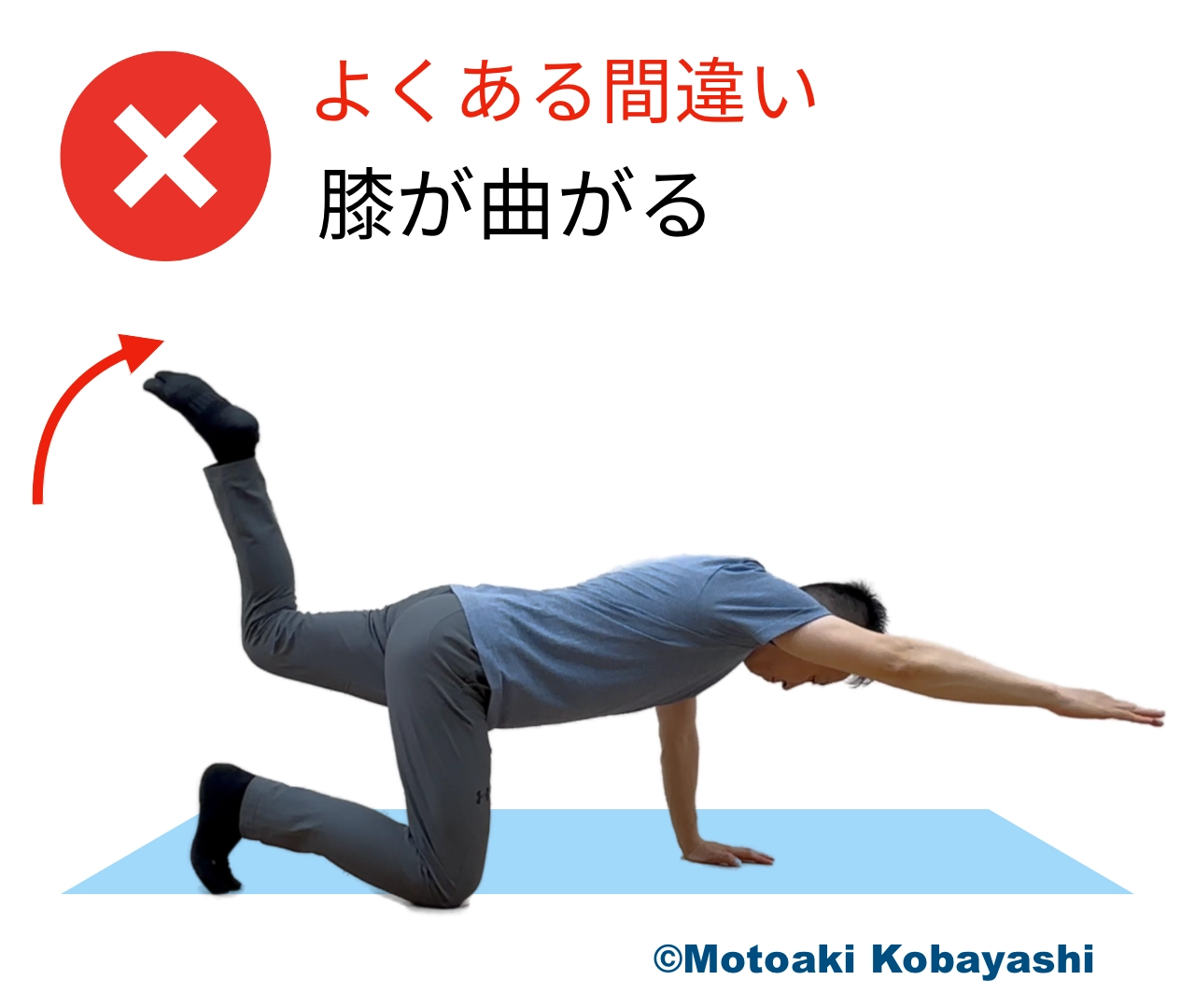 体幹　フロアハンドニー